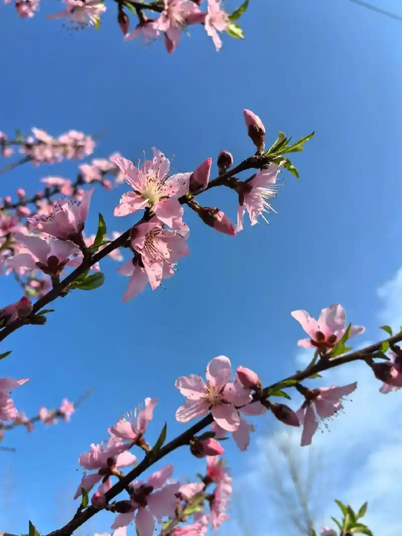 143104945.png image.png