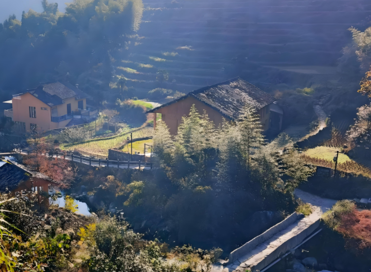 043101584.png image.png