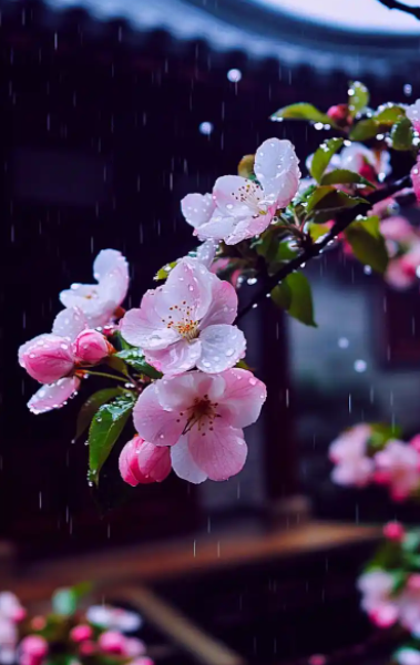 210908745.png image.png