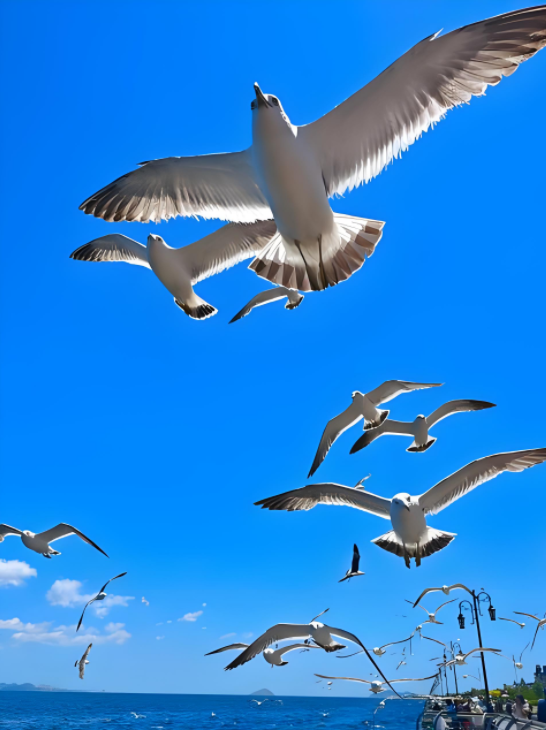 072202775.png image.png