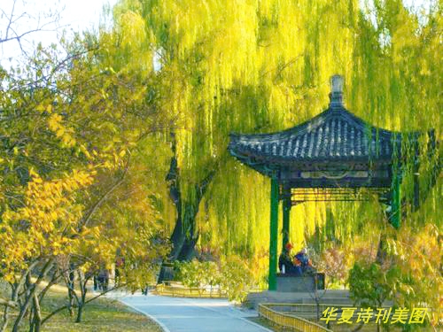 1581957581185038170.jpg 鍚洦.jpg