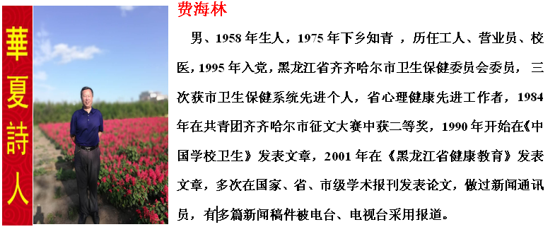 1581959519075002202.png 璐规捣鏋?.png