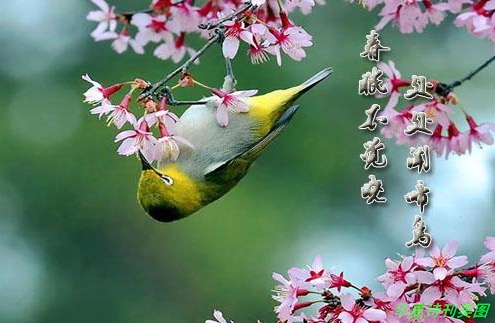 D:\Documents and Settings\Administrator\u5997岄潰\u93c2板缓鏂囦欢澶筡姝︽眽\u93c4ヤ箣璇?.jpg