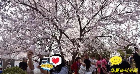 D:\Documents and Settings\Administrator\u5997岄潰\u93c2板缓鏂囦欢澶筡姝︽眽\u93c4ュ瘨鏂欏抄.jpg