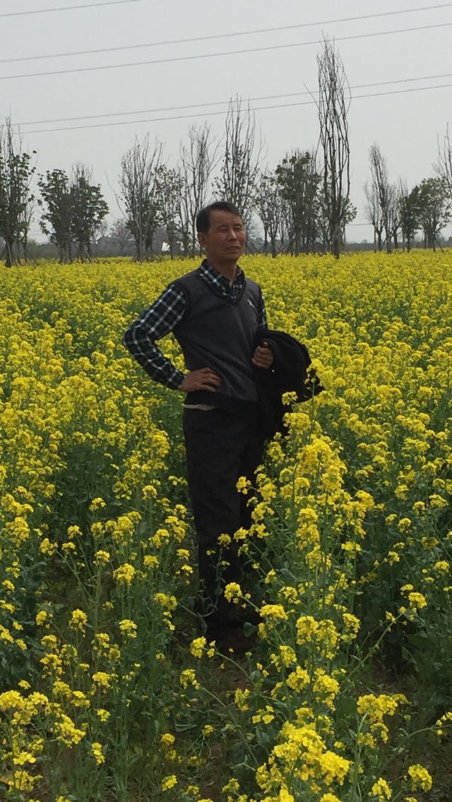 mmexport1585397799343.