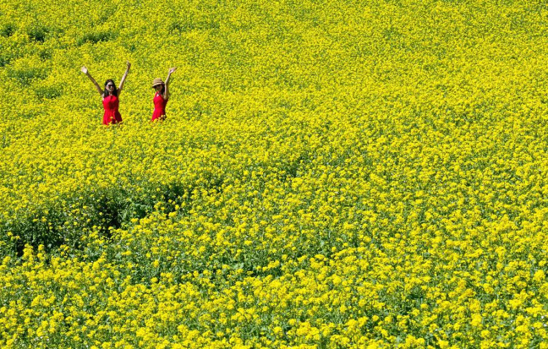 a4407fd8a3774896b6d38a92a4d10411.