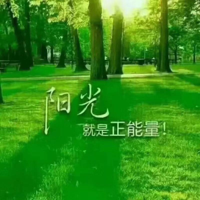 mmexport1586500873545.