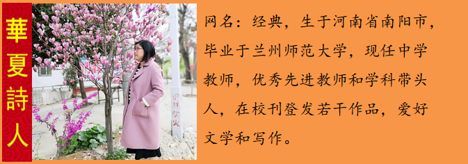 1586786488395072576.png 经典.png