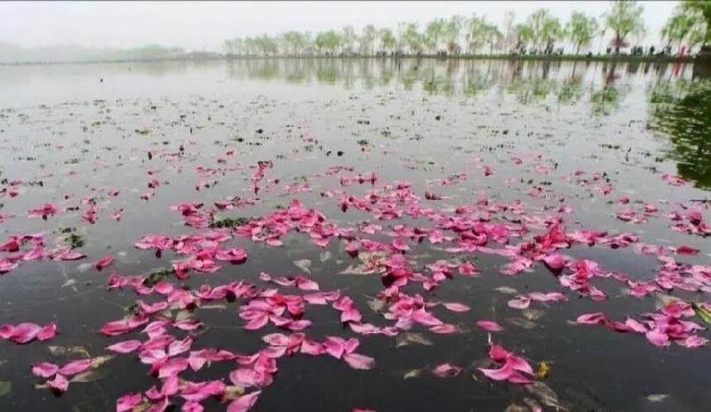 mmexport1585452609693.