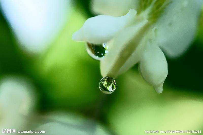 12786047_084727452135_2.