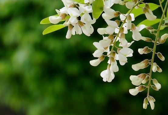 eab0cce6e9fc4c1fbe7f00fce09c1401.