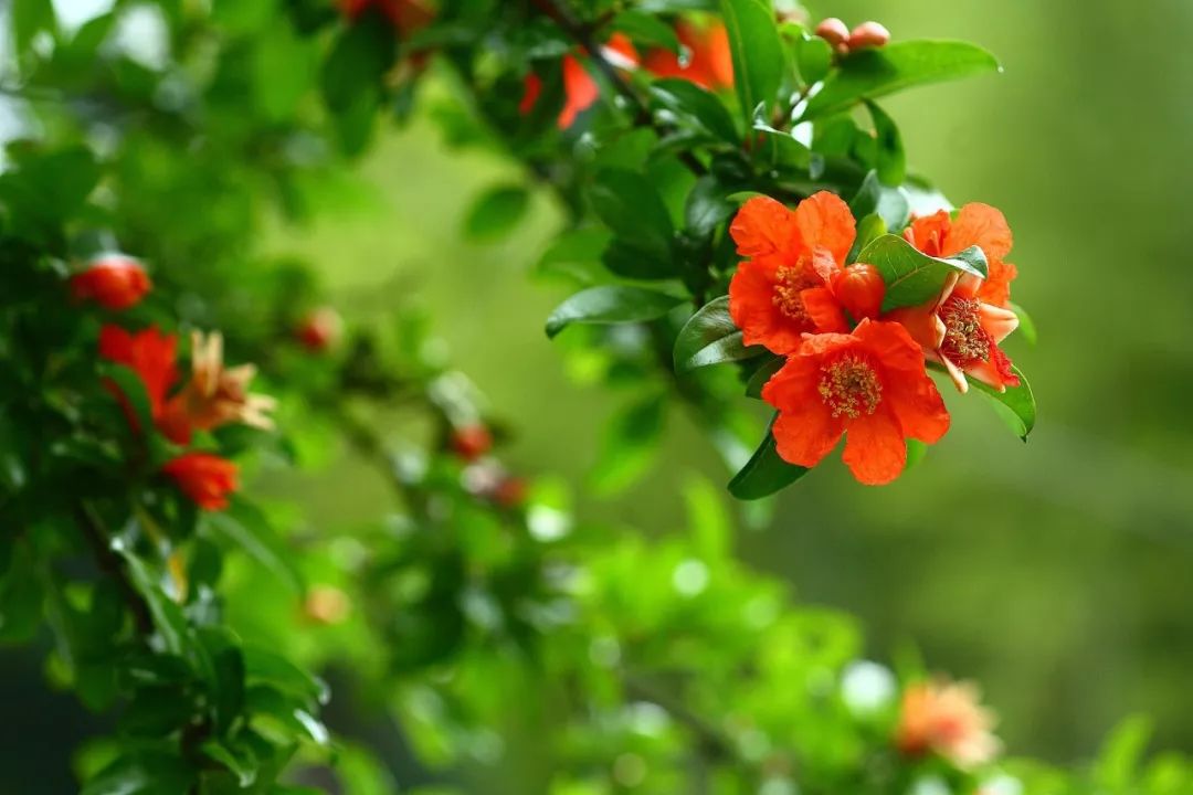 1590392914098042574.jpg 寰俊鍥剧墖_20200525154052.jpg