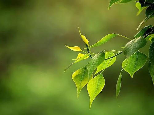 1605186463596070256.jpg u=150131672,2587634965&fm=26&gp=0.jpg