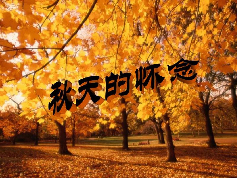 7e0975bff91920aa75e782994086d79483601998d822bd6db993eb756dfae1ce.0.