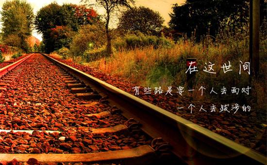 timg-1597967314503.