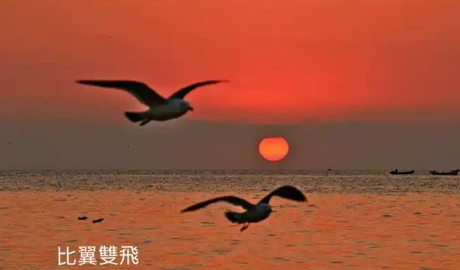 052407083.png image.png