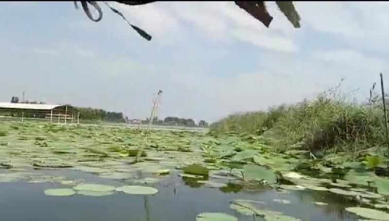 IMG_20200824_044808.