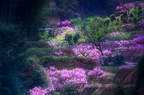 192907830.png image.png