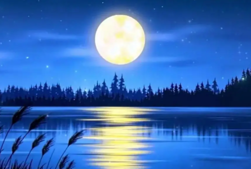 002900710.png image.png