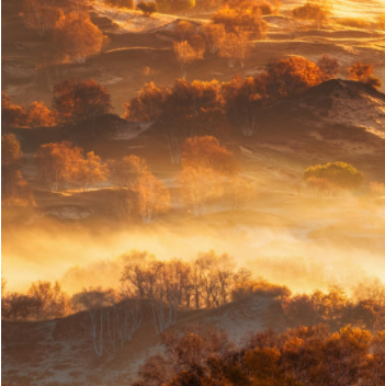 065105374.png image.png