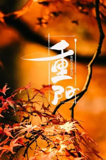 075106331.png image.png