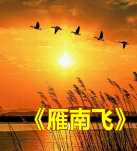 070106739.png image.png