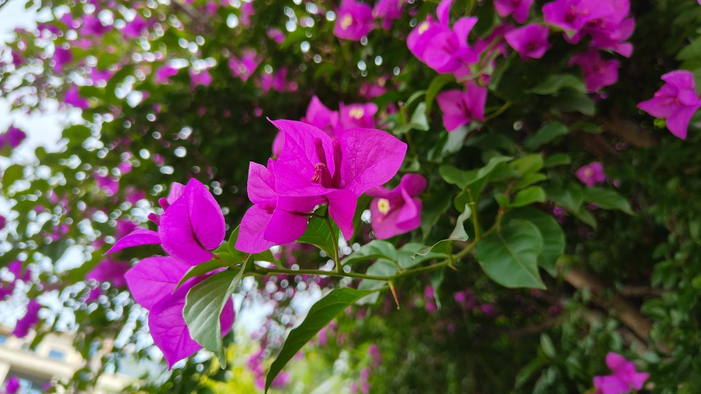 083009257.png image.png