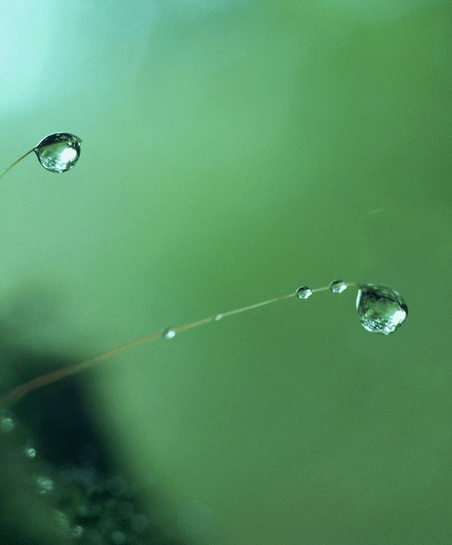 ba0079d9c46f50545200315dfdf7b2d1_128.gif