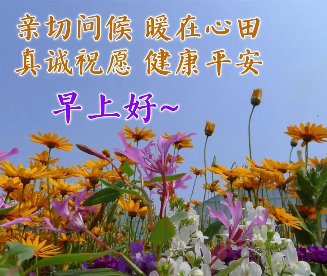 c699a4c3dd5432c771f464bf8a08d1ed.jpg