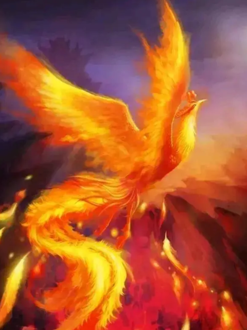 061200697.png image.png