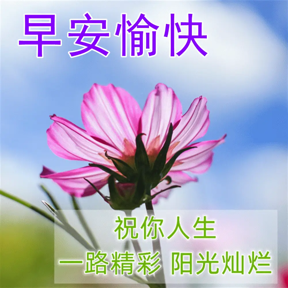421d6441133a4326819d90e1bddaf061.webp