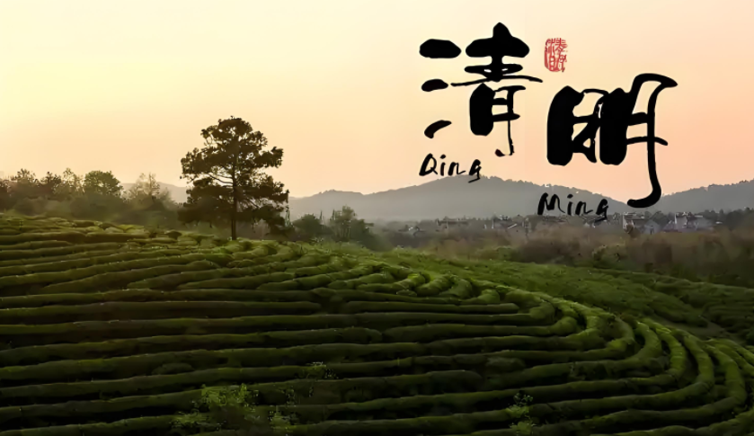 203804490.png image.png