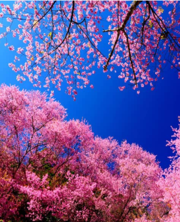 035101940.png image.png