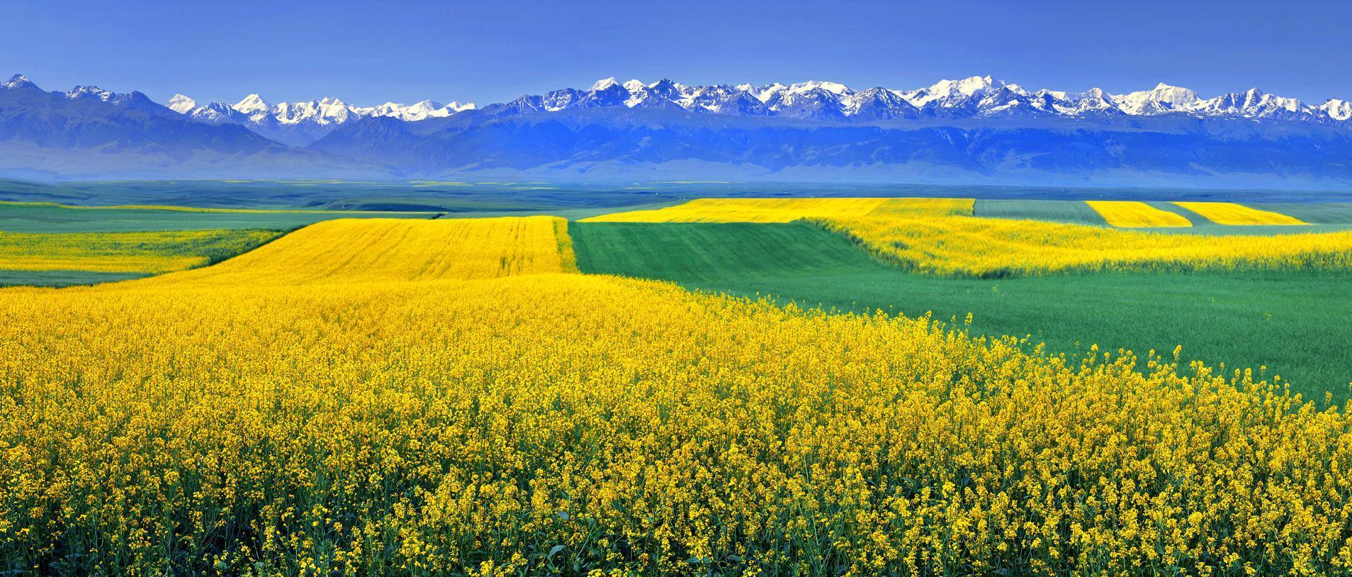 173105864.png image.png