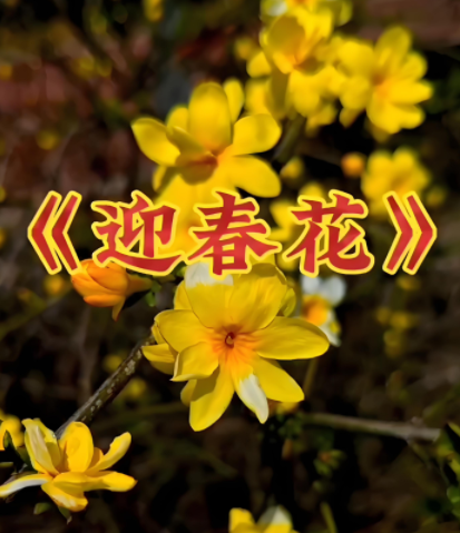 031606567.png image.png