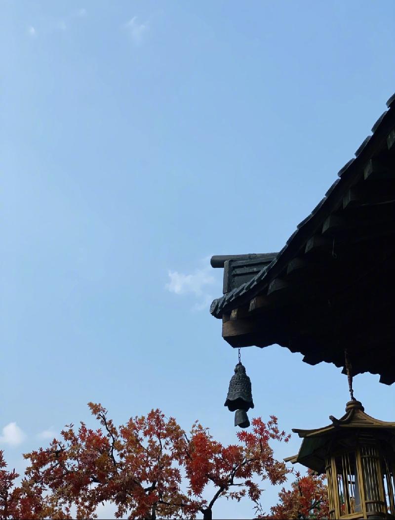 IMG_20200920_173420.