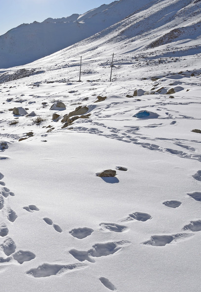 043404033.png image.png