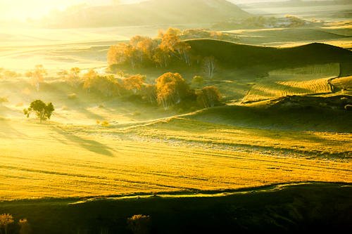 1601177964953073116.jpg 涓嬭浇.jpg