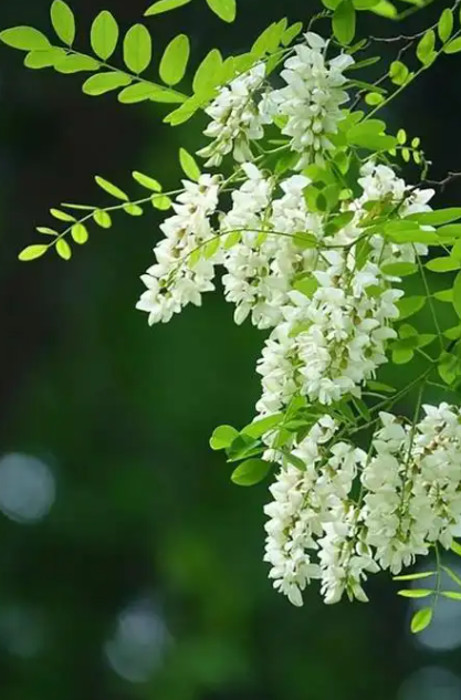 061702187.png image.png