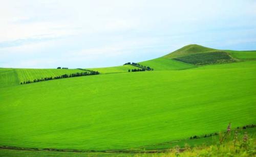 1601306713908036962.jpg u=1005503460,3234343887&fm=26&gp=0.jpg