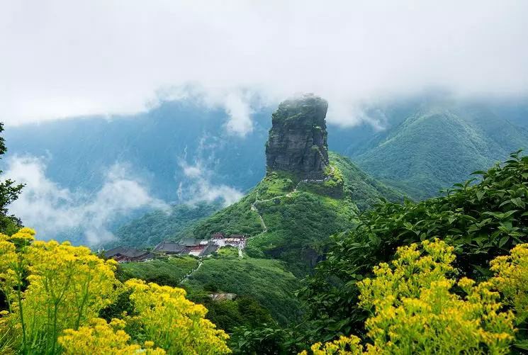 1601671191194022201.jpg timg (8).jpg