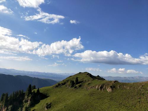 1601671221105008054.jpg u=1796979627,458107778&fm=26&gp=0.jpg