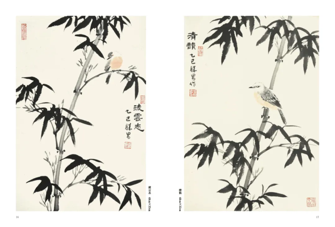 圖片