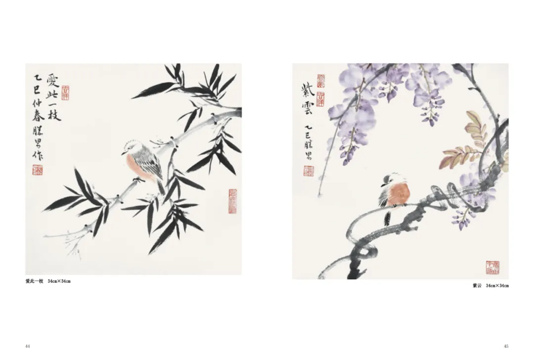 圖片
