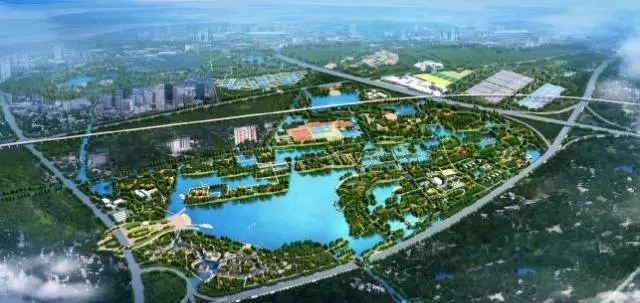 1602138857443061992.jpg timg.jpg