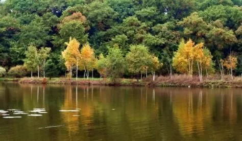 mmexport87c48d414a852db4a9862b9de158bdcd.