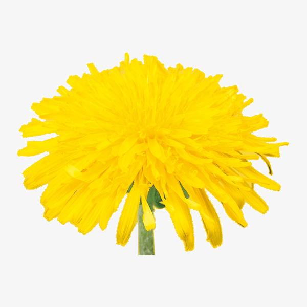 1603623332724065344.jpg timg (1).jpg