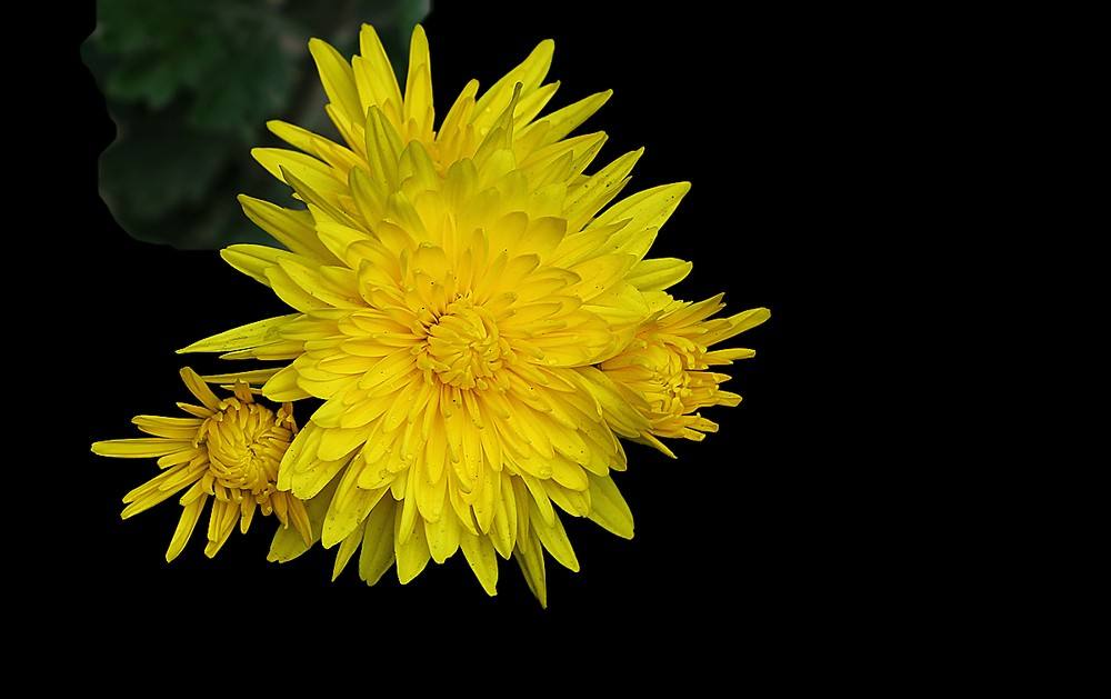 1603623489581052925.jpg timg (3).jpg