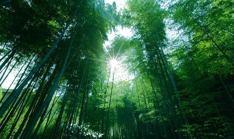 1604089671016024225.jpg timg (10).jpg