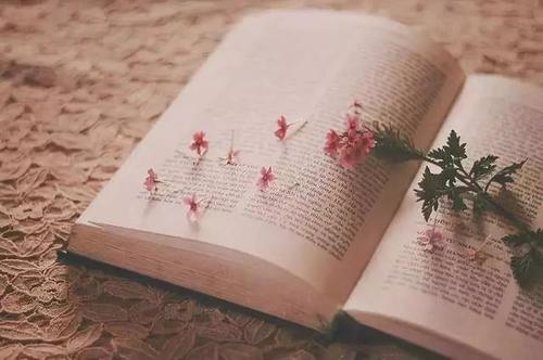 1605186432950027680.jpg u=2352590367,589245053&fm=15&gp=0.jpg